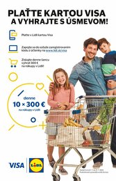 18. stránka Lidl letáku