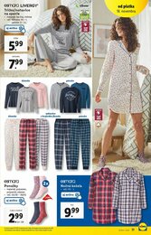 31. stránka Lidl letáku