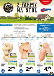 25. stránka Lidl letáku