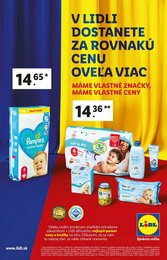13. stránka Lidl letáku