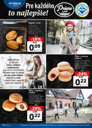 22. stránka Lidl letáku