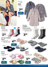 24. stránka Lidl letáku