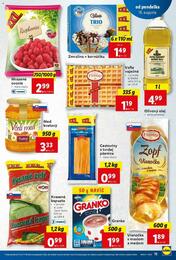 15. stránka Lidl letáku