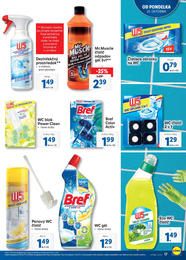 17. stránka Lidl letáku