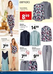45. stránka Lidl letáku