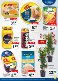 13. stránka Lidl letáku