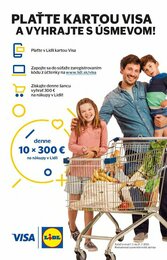 24. stránka Lidl letáku
