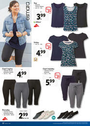 22. stránka Lidl letáku