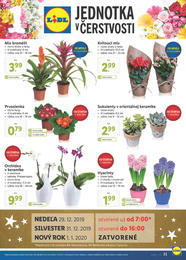 21. stránka Lidl letáku