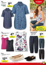 35. stránka Lidl letáku