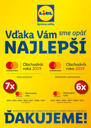 46. stránka Lidl letáku