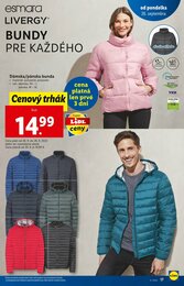 17. stránka Lidl letáku