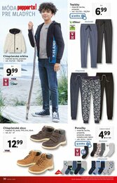30. stránka Lidl letáku