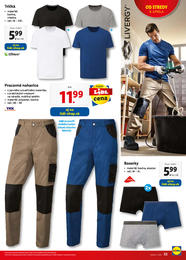 33. stránka Lidl letáku