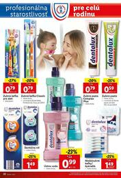 22. stránka Lidl letáku