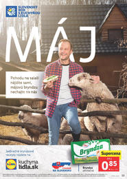13. stránka Lidl letáku