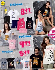 18. stránka Lidl letáku