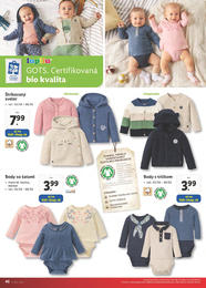 46. stránka Lidl letáku