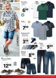 42. stránka Lidl letáku