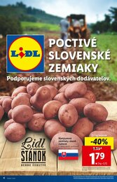 4. stránka Lidl letáku