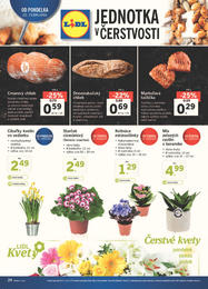24. stránka Lidl letáku