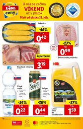 40. stránka Lidl letáku