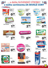 45. stránka Lidl letáku