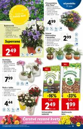 35. stránka Lidl letáku