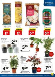 21. stránka Lidl letáku