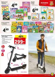 41. stránka Lidl letáku