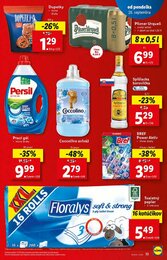 13. stránka Lidl letáku
