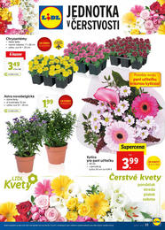 15. stránka Lidl letáku