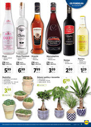 9. stránka Lidl letáku