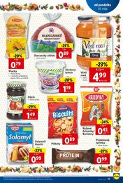 33. stránka Lidl letáku