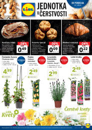 17. stránka Lidl letáku