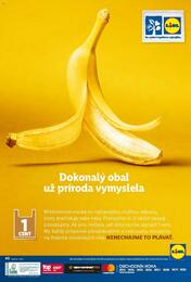 37. stránka Lidl letáku