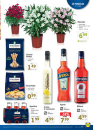 17. stránka Lidl letáku