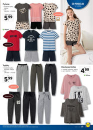 25. stránka Lidl letáku