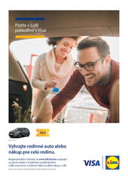 43. stránka Lidl letáku