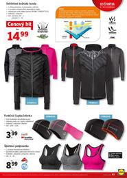 45. stránka Lidl letáku