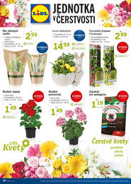 18. stránka Lidl letáku