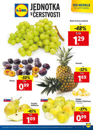 3. stránka Lidl letáku