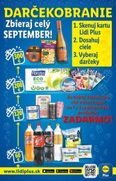 40. stránka Lidl letáku