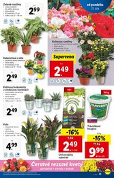 25. stránka Lidl letáku
