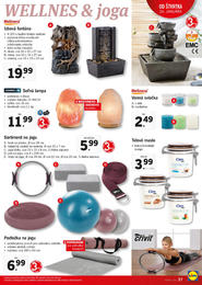 37. stránka Lidl letáku
