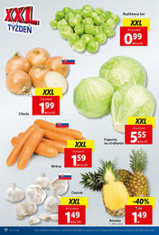 22. stránka Lidl letáku