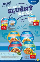 11. stránka Lidl letáku