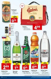 16. stránka Lidl letáku