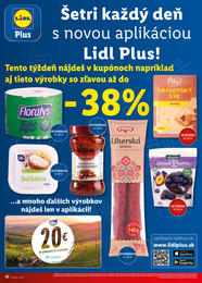 42. stránka Lidl letáku