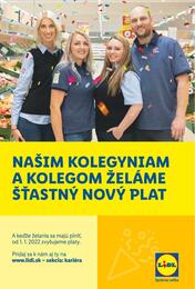 36. stránka Lidl letáku